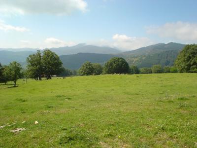 Fotos de la Naturaleza