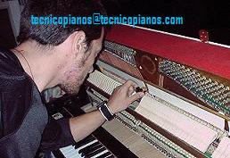 Tecnico afinador de pianos